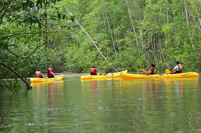 Damas Island Kayaking Tour 2