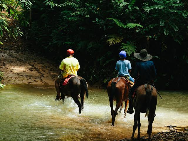 Manuel Antonio Horseback Riding 2