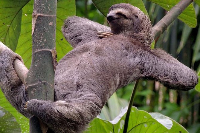 Manuel Antonio National Park — tour & adventure in Costa Rica