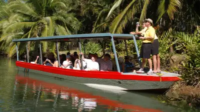 Monkey Mangrove Tour 2