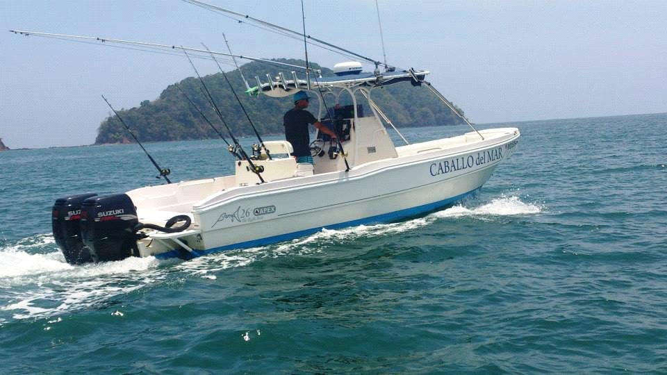 Caballo de Mar — 28ft Apex Panga — sportfishing boat in Jacó, Costa Rica